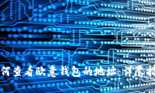 如何查看欧意钱包的地址：详尽指南
